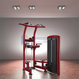 ການຊ່ວຍເຫຼືອ DIP & RING-Up Machine